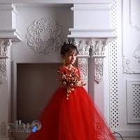 دکتر علی مردی