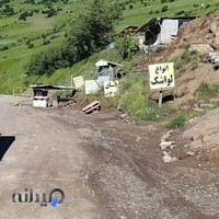 عسل فروشی داریوش