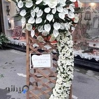 گل فروشی آمل گل گندم