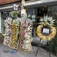 گلفروشی آمل افرا