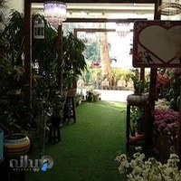 گل فروشی یاس