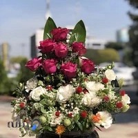 گالری گل مستعان غلامی