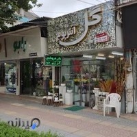 گلفروشی آنتریوم