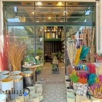 🌻گلفروشی چیترا آمل