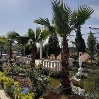 مجموعه امیر