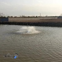 استخر پرورش ماهی های گرمابی احمدپناه