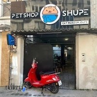 موزه گربه و پت شاپ شوپه