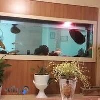 مطب دندانپزشکی دکتر شعبان یوسفی مقدم