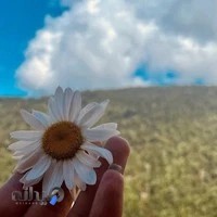 مشاورین املاک و مصالح ساختمانی برمودا