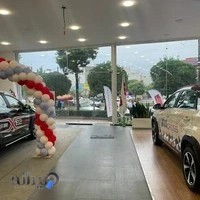 مدیران خودرو 290 صدرزاده (برند mvm)