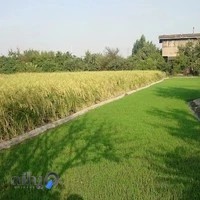 بنگاه رنگ عظيمى نیاکی