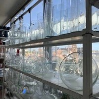 گل و گیاه گاردن سیتی