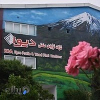 دیوا پروفیل