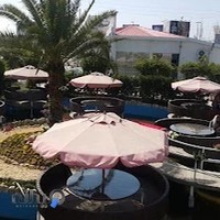 رستوران قصر ماهی