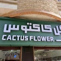 گلفروشی کاکتوس