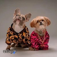 دامپزشکی دکترنعیم وپت شاپ دکترپت