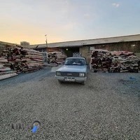 قالیشوئی آریا