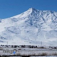 آژانس شهباز سید