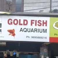 آکواریوم گلدفیش