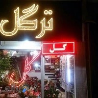 گلفروشی ترگل