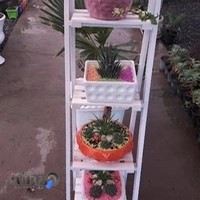 مجتمع گل و گیاه گلستان نوین