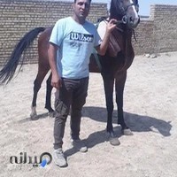 باشگاه سوارکاری آلومینیوم اراک