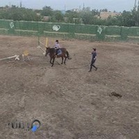 باشگاه سوارکاری مهمیز