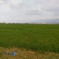 شرکت ساختمانی Amirreza