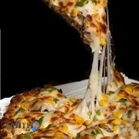 پیتزا . ساندویچ زیتون " zeytoon "