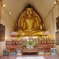 نمایندگی سانگ یانگ