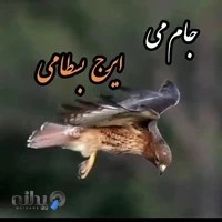 سرای خاتم الانبیا