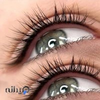 آریشگاه، آموزش آرایش دائم صورت وتاتو بدن با ارائه مدرک فنی حرفه ای و بین المللی, elahe_solooki_micro
