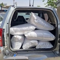 رستری سل کافی برشته کاری sol