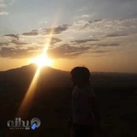 دفترپیشخوان دولت 1015