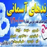 خیریه پیوندهای آسمانی