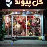 گل‌فروشی پیوند