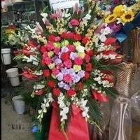 گلفروشی شقایق