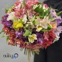 گلسرای گل یخ