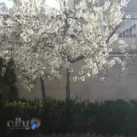 کلینیک تأمین اجتماعی شهید میرزاحسینی