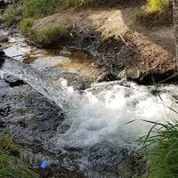 سبزی فروشی حاجی ننه