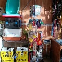 کلینیک دامپزشکی وپت شاپ آرتا