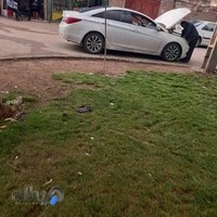 برق خودرو صادقی