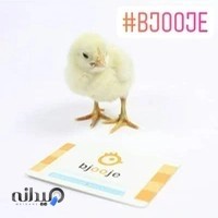 دفتر بارمان جوجه (کامرانی)