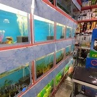 آرتاویل ماهی