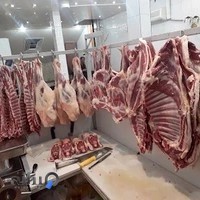 رستوران نظیری