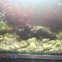 تابلو فرش آفاقی