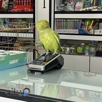 فتوکپی شهبازی