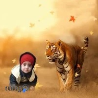 فروشگاه لوازم خانگی آسیا