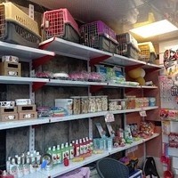 پت شاپ شیبا