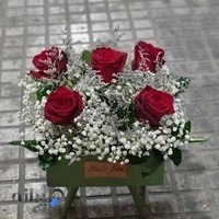 گل و گلدون ستاره